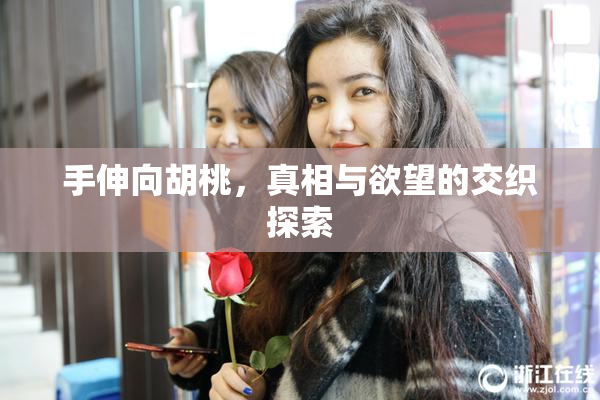手伸向胡桃，真相与欲望的交织探索
