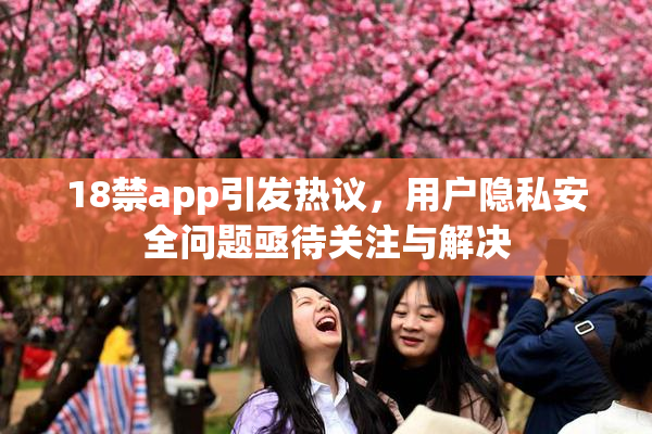 18禁app引发热议，用户隐私安全问题亟待关注与解决