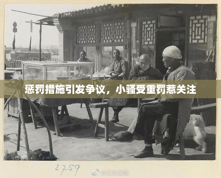 惩罚措施引发争议，小骚受重罚惹关注