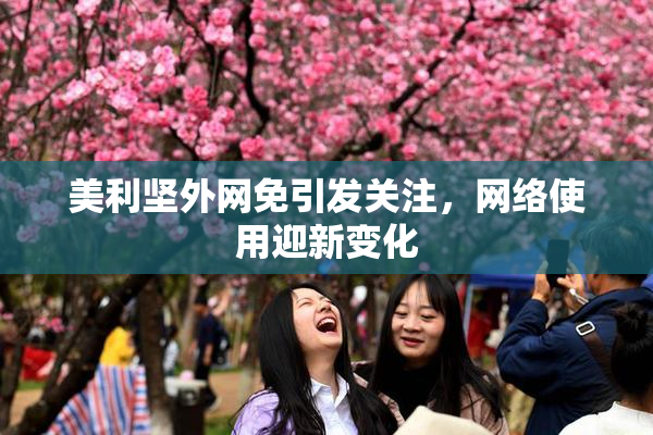 美利坚外网免引发关注，网络使用迎新变化