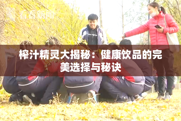 榨汁精灵大揭秘：健康饮品的完美选择与秘诀