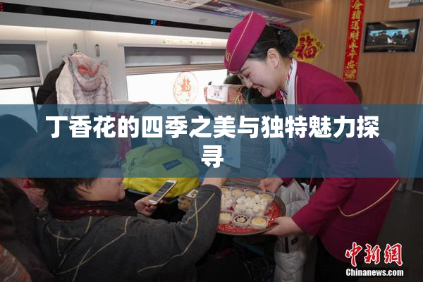丁香花的四季之美与独特魅力探寻