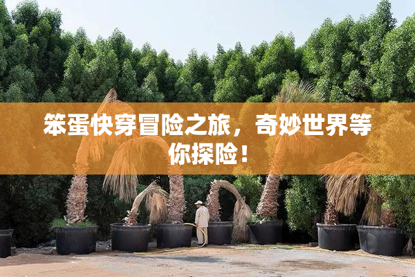 笨蛋快穿冒险之旅，奇妙世界等你探险！