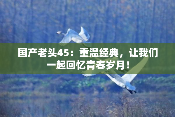 国产老头45：重温经典，让我们一起回忆青春岁月！