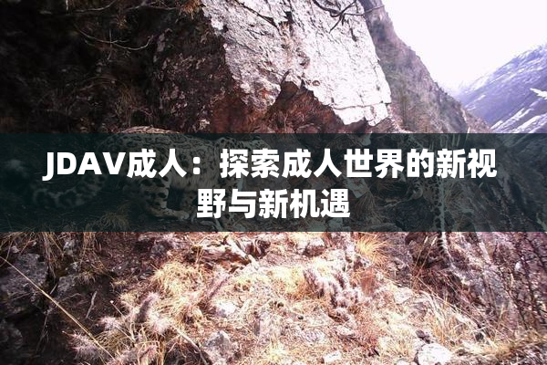 JDAV成人：探索成人世界的新视野与新机遇
