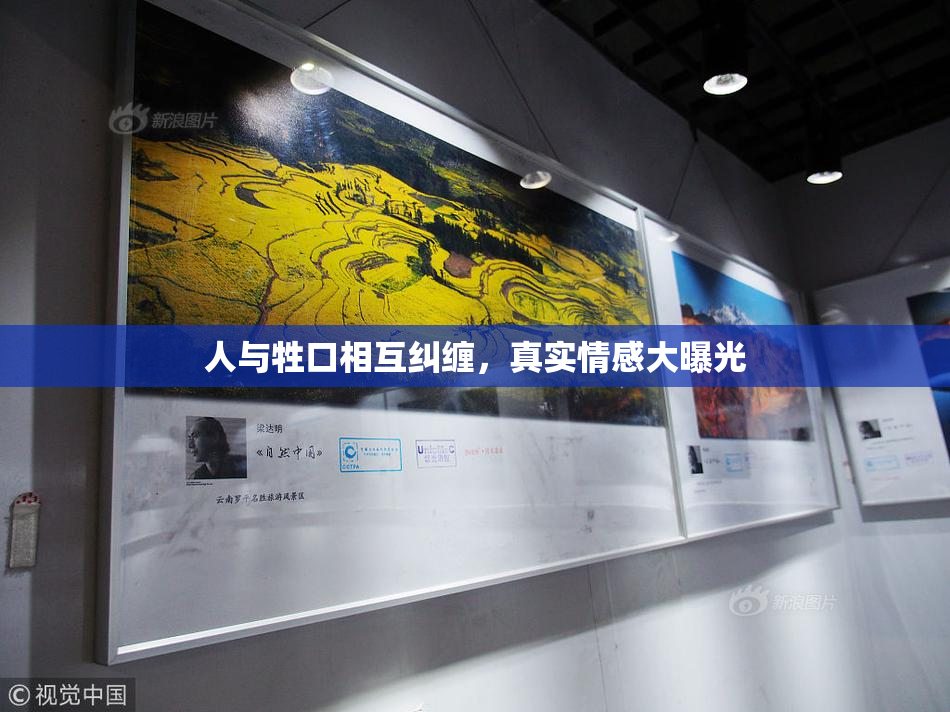 人与牲口相互纠缠，真实情感大曝光