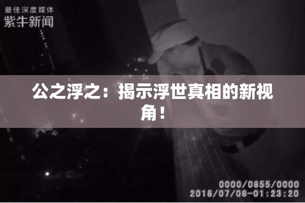 公之浮之：揭示浮世真相的新视角！
