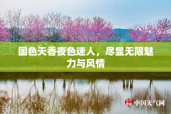 国色天香夜色迷人，尽显无限魅力与风情
