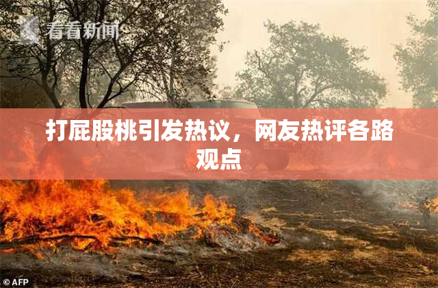 打屁股桃引发热议，网友热评各路观点