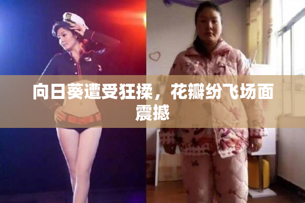 向日葵遭受狂揉，花瓣纷飞场面震撼