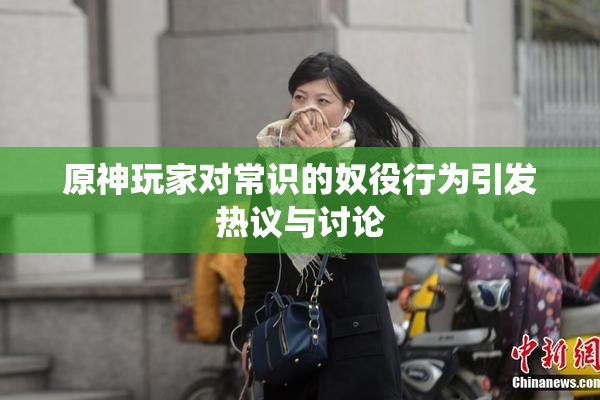 原神玩家对常识的奴役行为引发热议与讨论