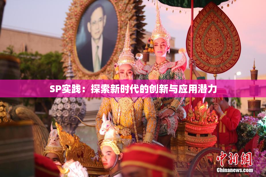 SP实践：探索新时代的创新与应用潜力