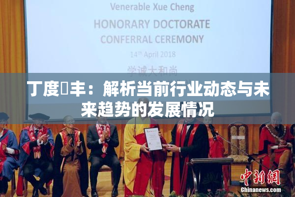 丁度巜丰：解析当前行业动态与未来趋势的发展情况