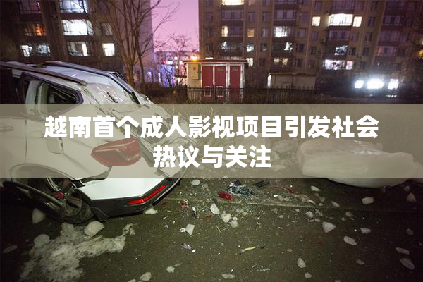 越南首个成人影视项目引发社会热议与关注