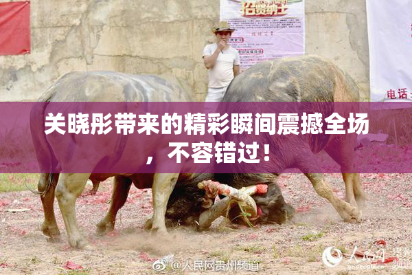 关晓彤带来的精彩瞬间震撼全场，不容错过！