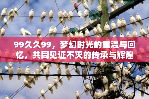 99久久99，梦幻时光的重温与回忆，共同见证不灭的传承与辉煌。
