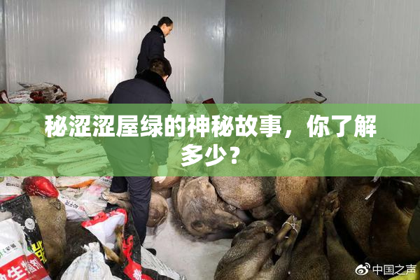 秘涩涩屋绿的神秘故事，你了解多少？