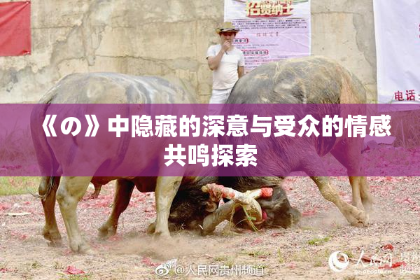 《の》中隐藏的深意与受众的情感共鸣探索