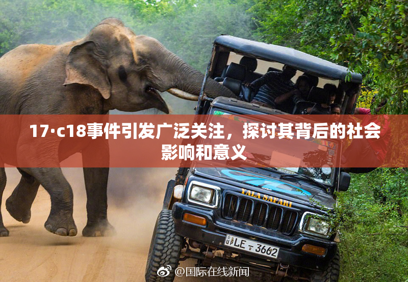 17·c18事件引发广泛关注，探讨其背后的社会影响和意义