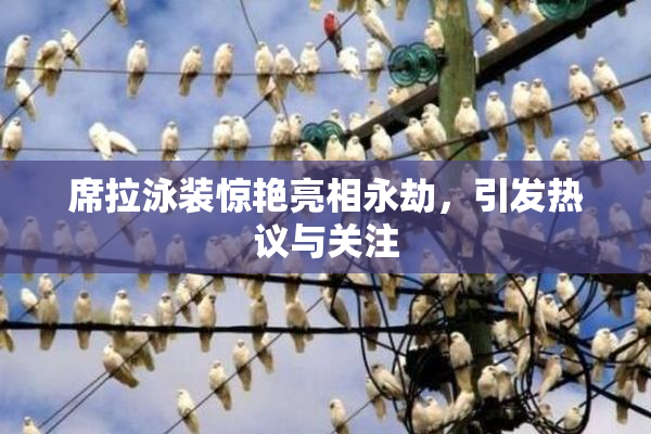 席拉泳装惊艳亮相永劫，引发热议与关注