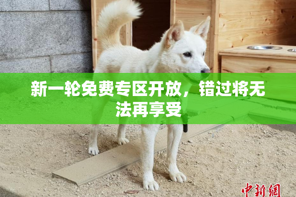 新一轮免费专区开放，错过将无法再享受