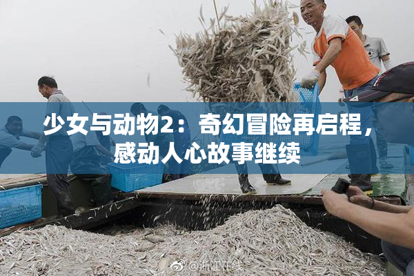 少女与动物2：奇幻冒险再启程，感动人心故事继续