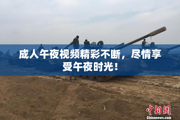 成人午夜视频精彩不断，尽情享受午夜时光！
