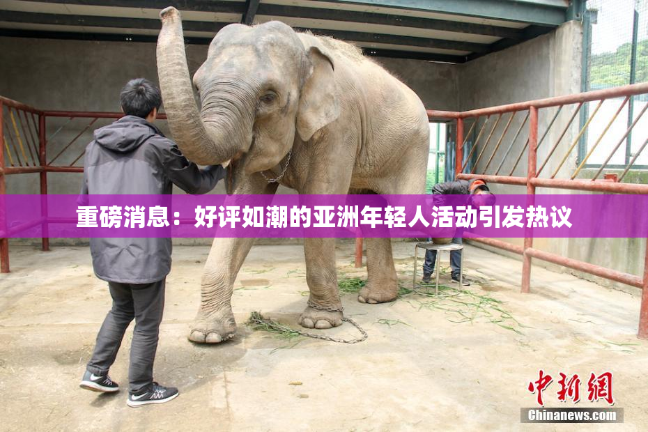 重磅消息：好评如潮的亚洲年轻人活动引发热议