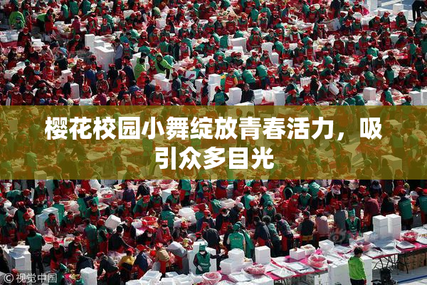 樱花校园小舞绽放青春活力，吸引众多目光