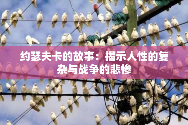 约瑟夫卡的故事：揭示人性的复杂与战争的悲惨