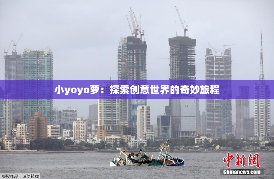 小yoyo萝：探索创意世界的奇妙旅程
