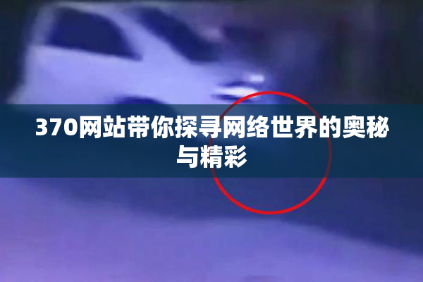 370网站带你探寻网络世界的奥秘与精彩