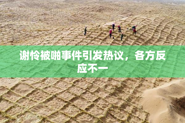 谢怜被啪事件引发热议，各方反应不一