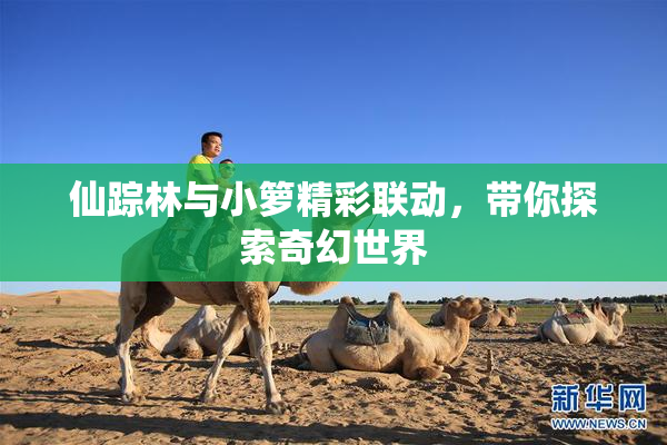 仙踪林与小箩精彩联动，带你探索奇幻世界