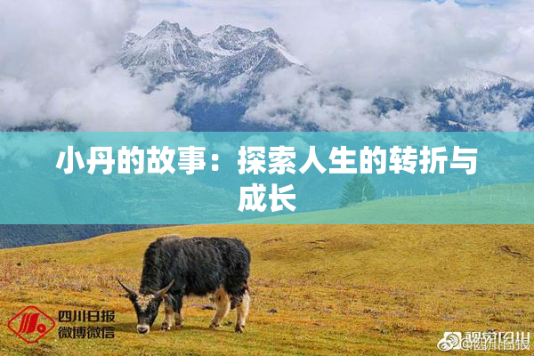 小丹的故事：探索人生的转折与成长