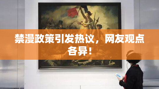 禁漫政策引发热议，网友观点各异！