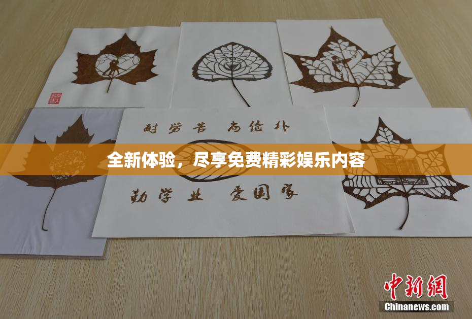 全新体验，尽享免费精彩娱乐内容