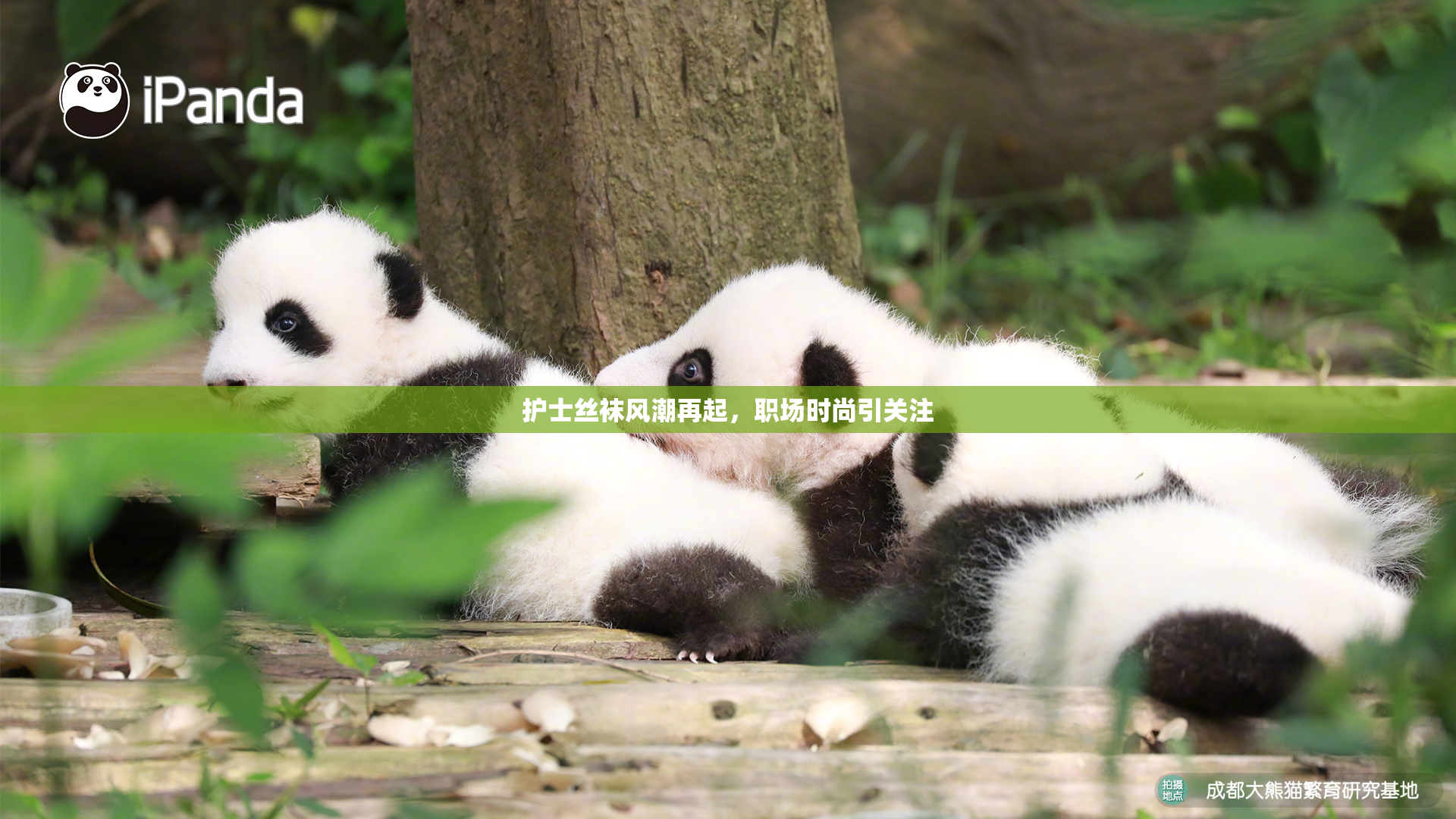 护士丝袜风潮再起，职场时尚引关注