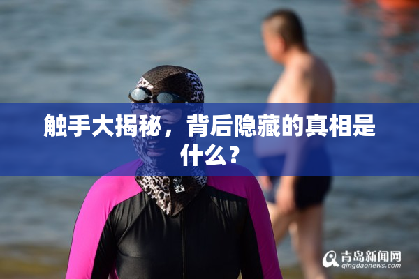 触手大揭秘，背后隐藏的真相是什么？