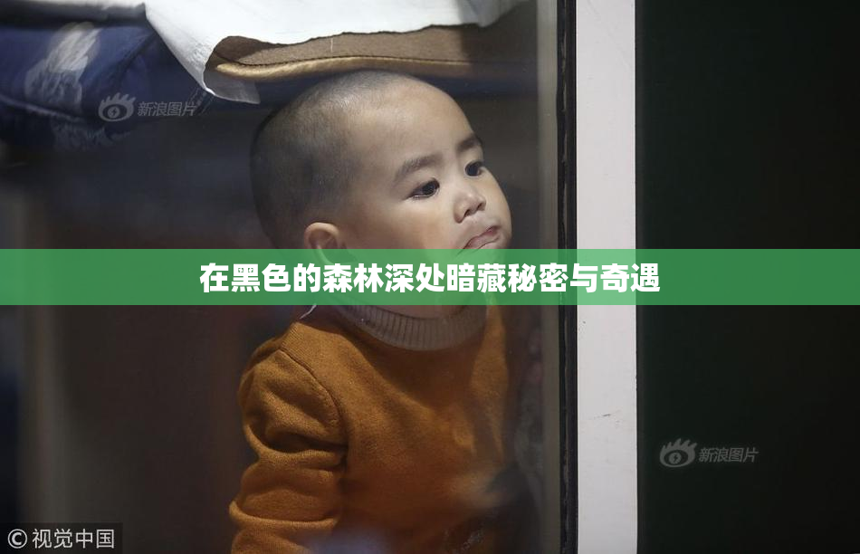 在黑色的森林深处暗藏秘密与奇遇