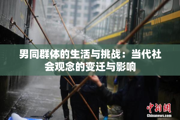男同群体的生活与挑战：当代社会观念的变迁与影响