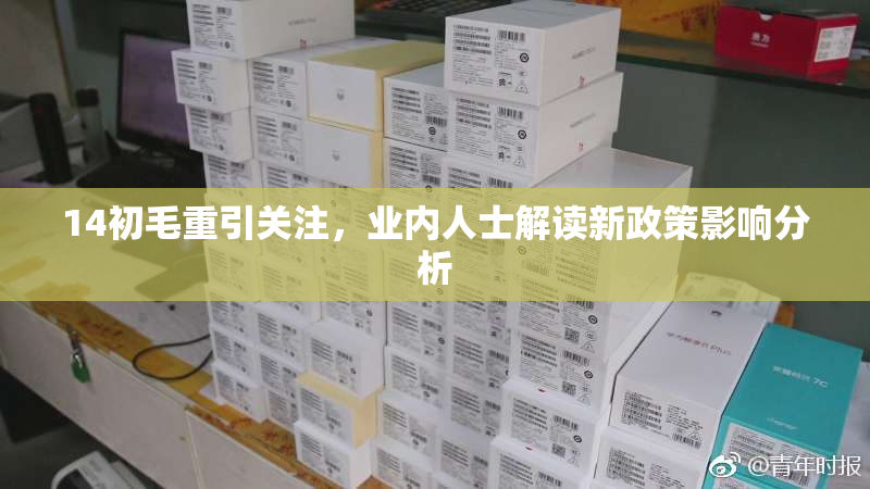 14初毛重引关注，业内人士解读新政策影响分析