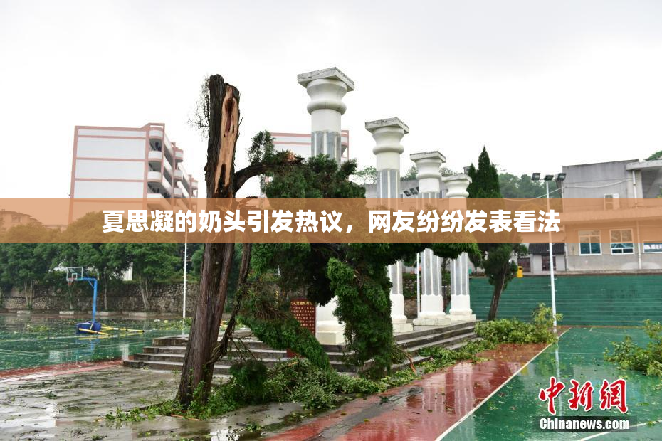 夏思凝的奶头引发热议，网友纷纷发表看法