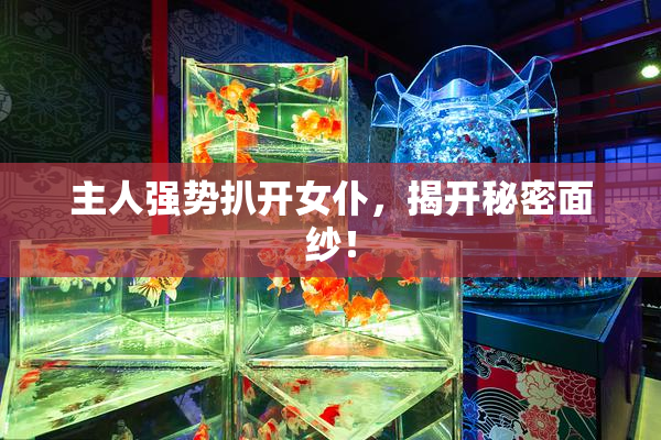 主人强势扒开女仆，揭开秘密面纱！