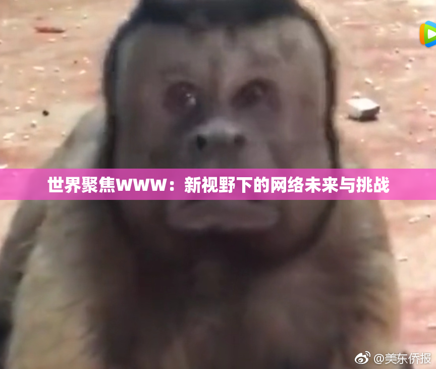世界聚焦WWW：新视野下的网络未来与挑战