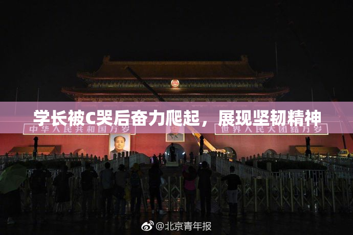 学长被C哭后奋力爬起，展现坚韧精神