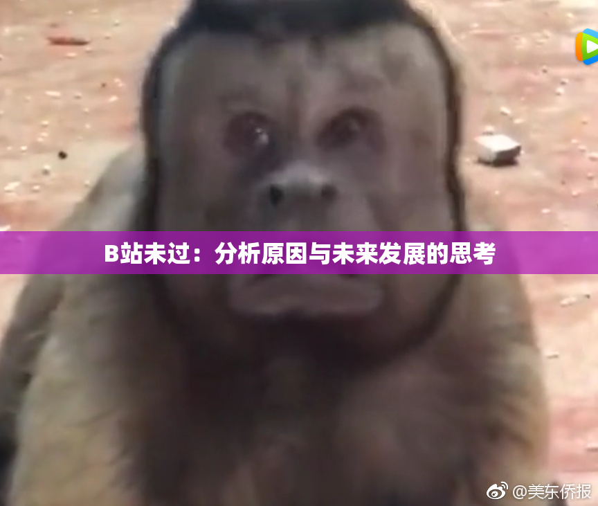 B站未过：分析原因与未来发展的思考