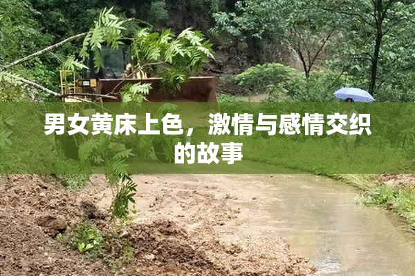 男女黄床上色，激情与感情交织的故事