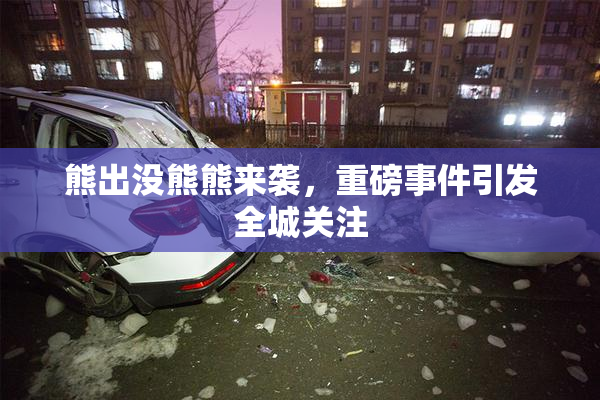 熊出没熊熊来袭，重磅事件引发全城关注