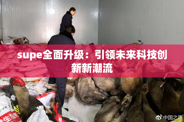 supe全面升级：引领未来科技创新新潮流